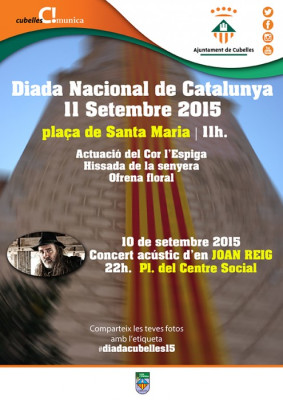 Diada 15