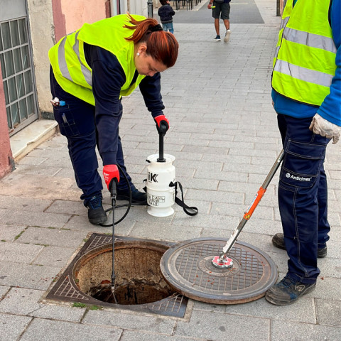 Prevenció paneroles