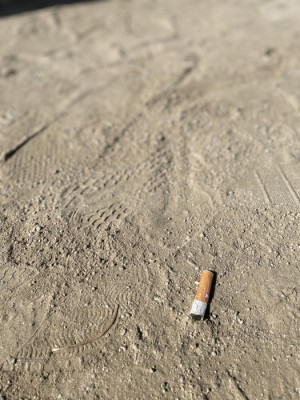 Platges sense cigarretes_7.jpg