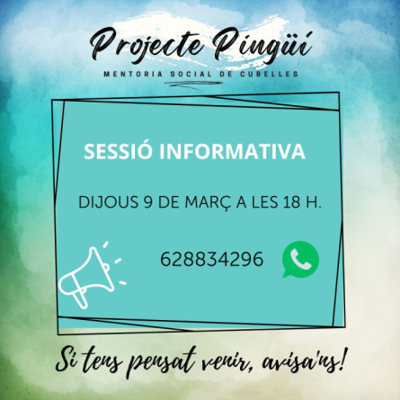 Projecte Pingüí info