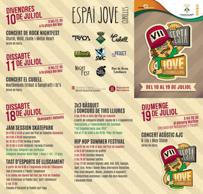 Programa VII Festa Jove