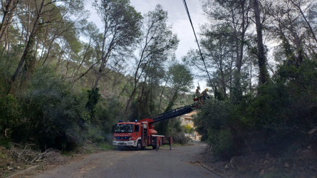 Arbres caiguts vent